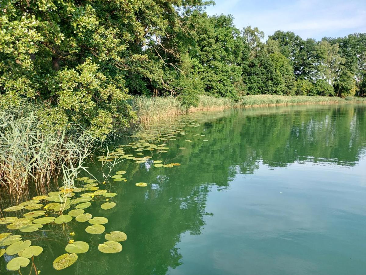 Jw Mazury Domy Wakacyjne Nad Jeziorem-Dom Czapla Waplewo  Dış mekan fotoğraf